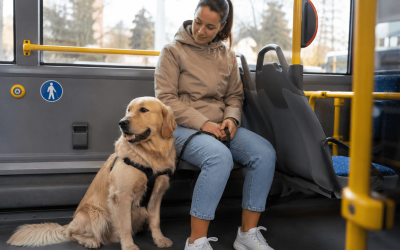 Resa med hund på bussen – regler och tips